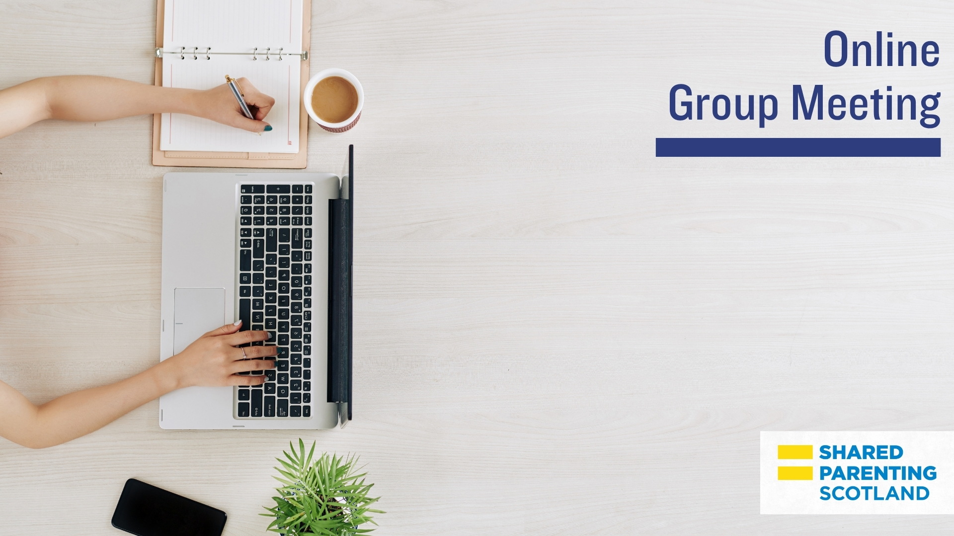 Online Group Meeting (Zoom)