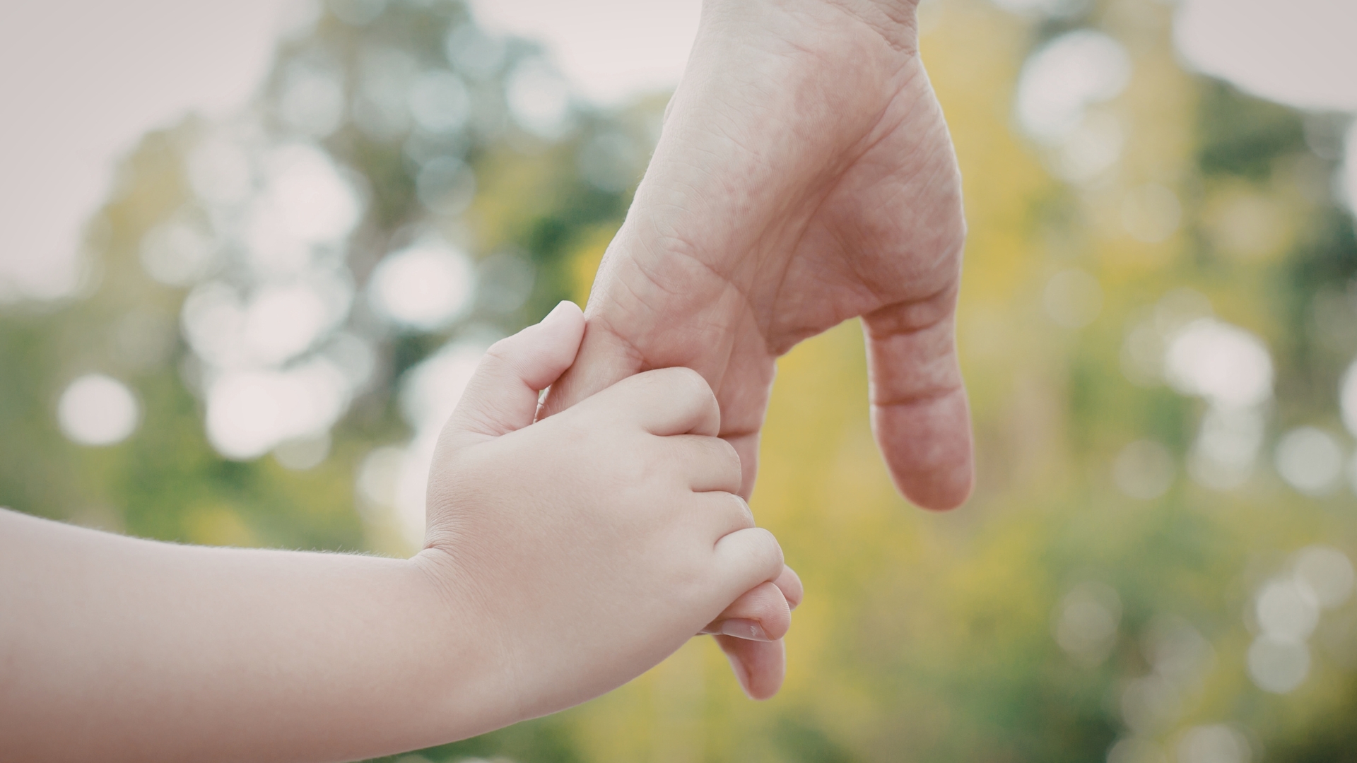 Chief Executive Of Shared Parenting Scotland Responds To Bbc News Story